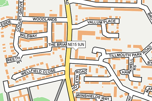 NE15 9JN map - OS OpenMap – Local (Ordnance Survey)