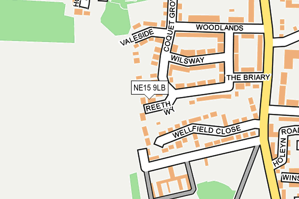 NE15 9LB map - OS OpenMap – Local (Ordnance Survey)
