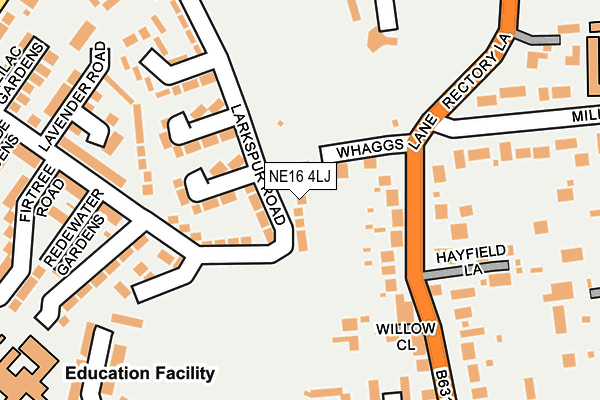 NE16 4LJ map - OS OpenMap – Local (Ordnance Survey)