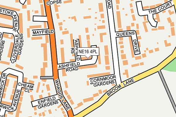 NE16 4PL map - OS OpenMap – Local (Ordnance Survey)