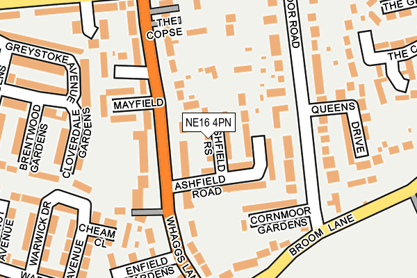 NE16 4PN map - OS OpenMap – Local (Ordnance Survey)