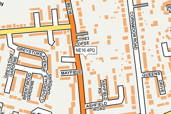 NE16 4PQ map - OS OpenMap – Local (Ordnance Survey)
