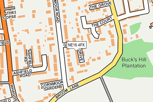 NE16 4PX map - OS OpenMap – Local (Ordnance Survey)