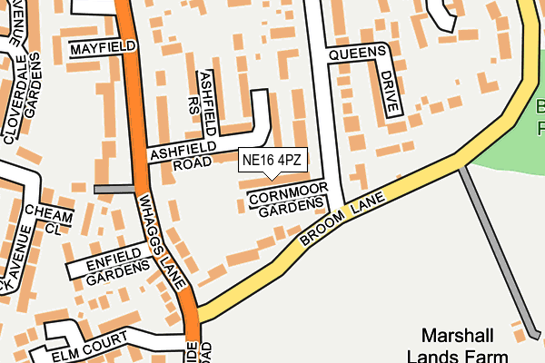 NE16 4PZ map - OS OpenMap – Local (Ordnance Survey)