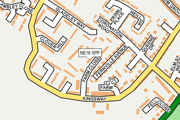 NE16 5PP map - OS OpenMap – Local (Ordnance Survey)