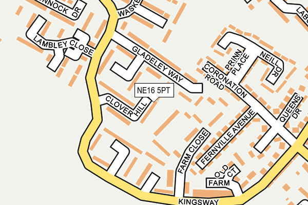 NE16 5PT map - OS OpenMap – Local (Ordnance Survey)