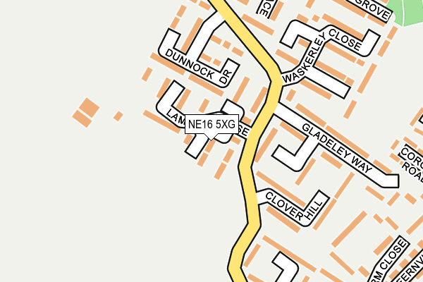 NE16 5XG map - OS OpenMap – Local (Ordnance Survey)