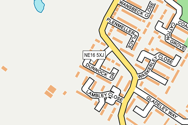 NE16 5XJ map - OS OpenMap – Local (Ordnance Survey)