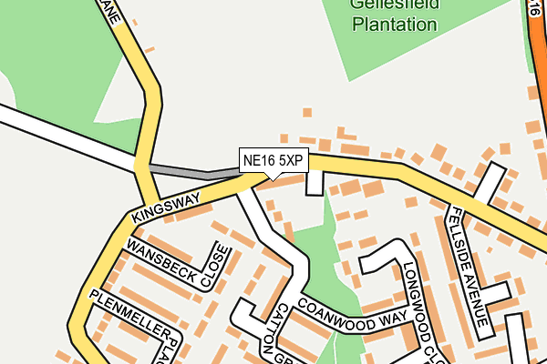 NE16 5XP map - OS OpenMap – Local (Ordnance Survey)