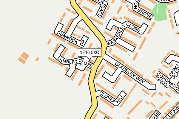 NE16 5XQ map - OS OpenMap – Local (Ordnance Survey)