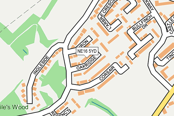 NE16 5YD map - OS OpenMap – Local (Ordnance Survey)