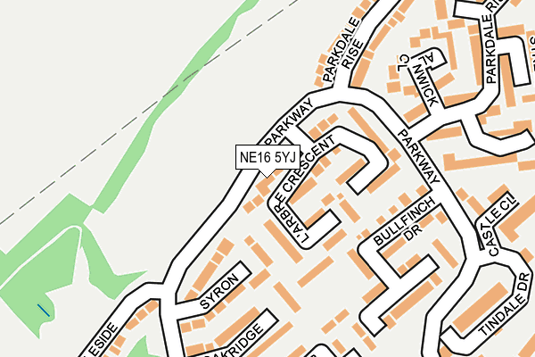 NE16 5YJ map - OS OpenMap – Local (Ordnance Survey)