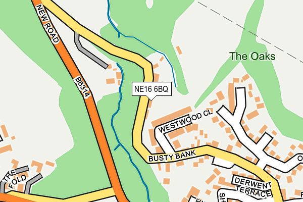 NE16 6BQ map - OS OpenMap – Local (Ordnance Survey)