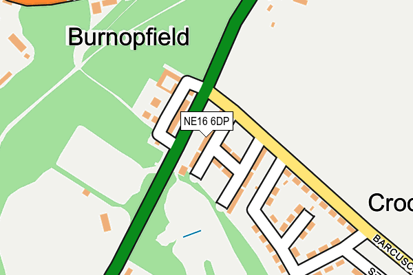 NE16 6DP map - OS OpenMap – Local (Ordnance Survey)