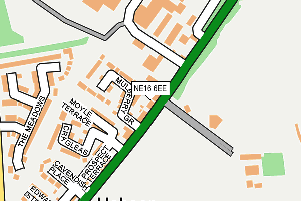 NE16 6EE map - OS OpenMap – Local (Ordnance Survey)
