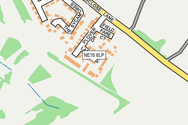 NE16 6LP map - OS OpenMap – Local (Ordnance Survey)