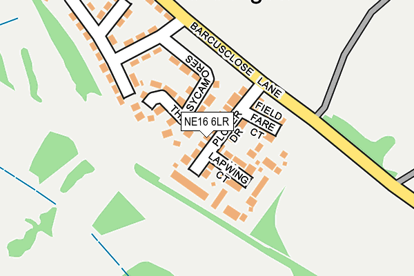 NE16 6LR map - OS OpenMap – Local (Ordnance Survey)