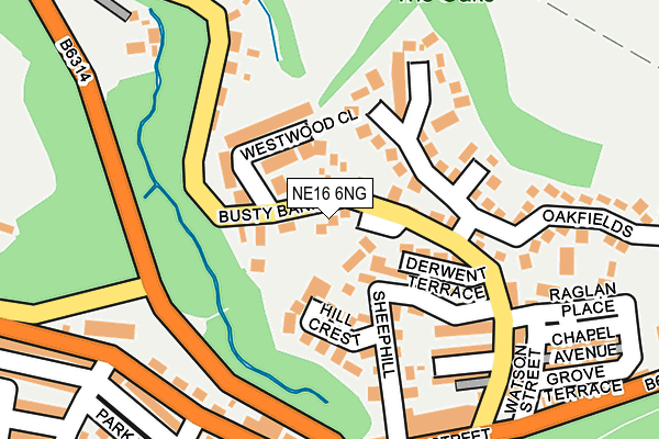 NE16 6NG map - OS OpenMap – Local (Ordnance Survey)
