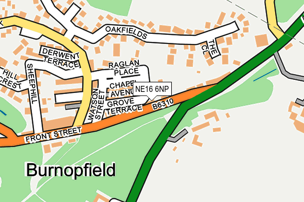 NE16 6NP map - OS OpenMap – Local (Ordnance Survey)