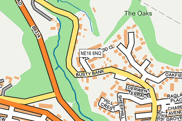 NE16 6NQ map - OS OpenMap – Local (Ordnance Survey)