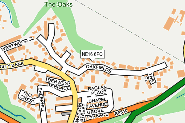 NE16 6PQ map - OS OpenMap – Local (Ordnance Survey)