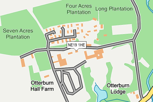 NE19 1HE map - OS OpenMap – Local (Ordnance Survey)