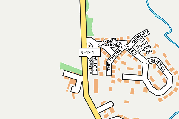 NE19 1LJ map - OS OpenMap – Local (Ordnance Survey)