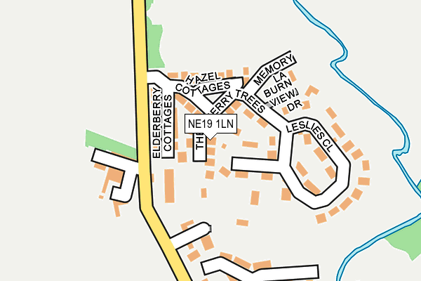 NE19 1LN map - OS OpenMap – Local (Ordnance Survey)