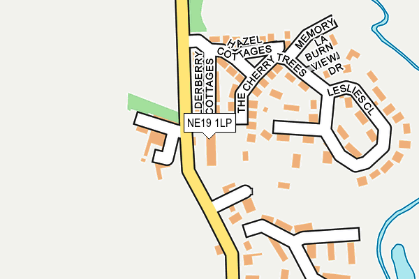 NE19 1LP map - OS OpenMap – Local (Ordnance Survey)