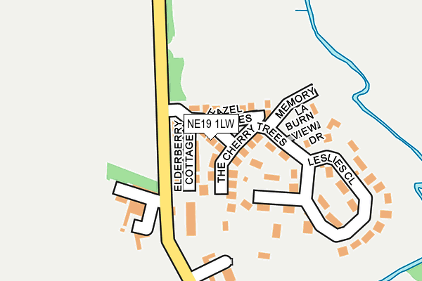 NE19 1LW map - OS OpenMap – Local (Ordnance Survey)