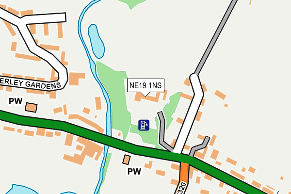 NE19 1NS map - OS OpenMap – Local (Ordnance Survey)