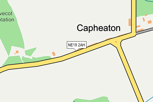 NE19 2AH map - OS OpenMap – Local (Ordnance Survey)