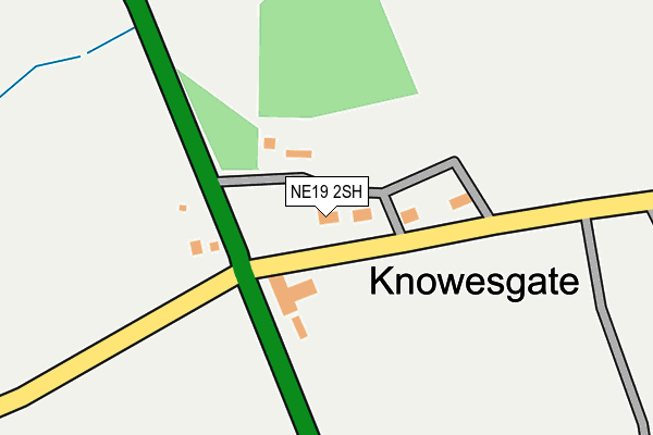 NE19 2SH map - OS OpenMap – Local (Ordnance Survey)