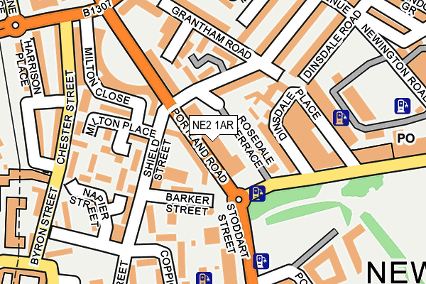 NE2 1AR map - OS OpenMap – Local (Ordnance Survey)