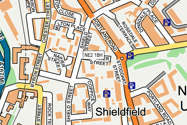 NE2 1BH map - OS OpenMap – Local (Ordnance Survey)