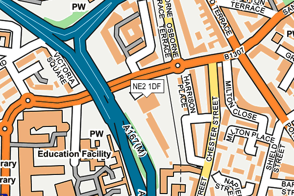 NE2 1DF map - OS OpenMap – Local (Ordnance Survey)