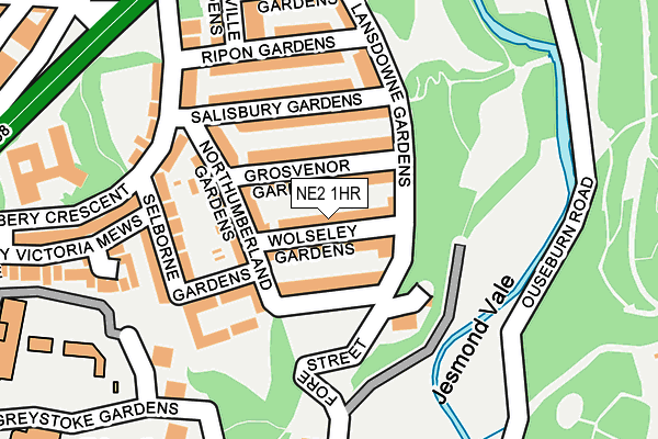 NE2 1HR map - OS OpenMap – Local (Ordnance Survey)