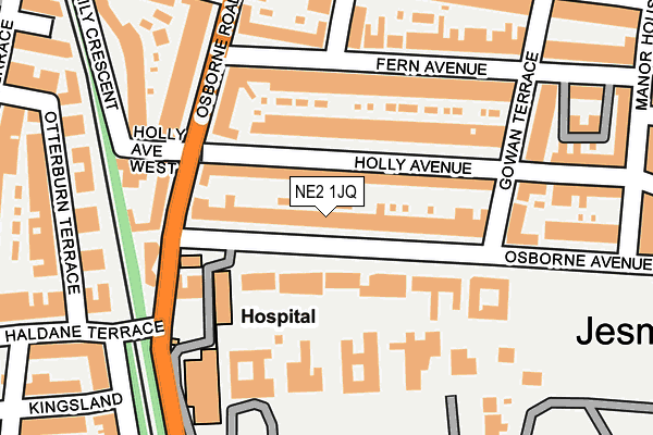NE2 1JQ map - OS OpenMap – Local (Ordnance Survey)