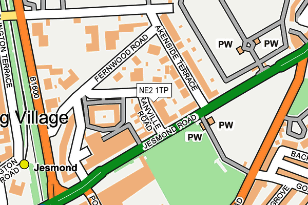 NE2 1TP map - OS OpenMap – Local (Ordnance Survey)
