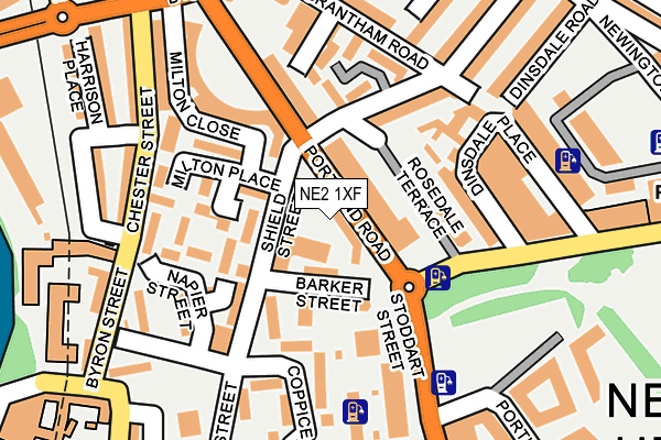 NE2 1XF map - OS OpenMap – Local (Ordnance Survey)