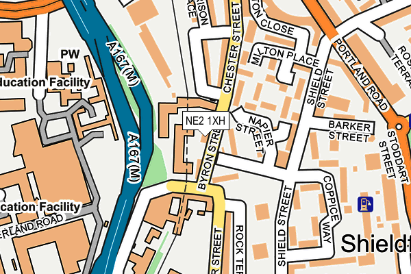 NE2 1XH map - OS OpenMap – Local (Ordnance Survey)