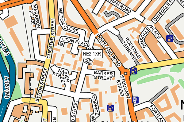 NE2 1XR map - OS OpenMap – Local (Ordnance Survey)