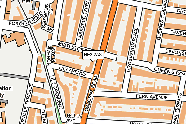 NE2 2AS map - OS OpenMap – Local (Ordnance Survey)