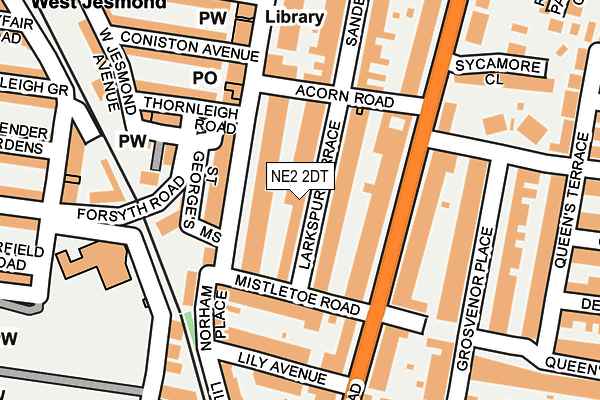 NE2 2DT map - OS OpenMap – Local (Ordnance Survey)
