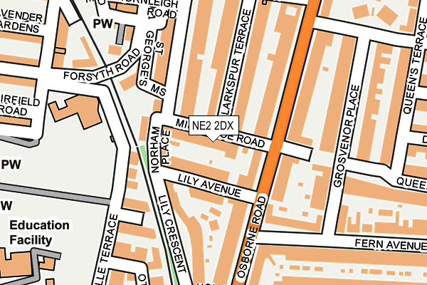 NE2 2DX map - OS OpenMap – Local (Ordnance Survey)