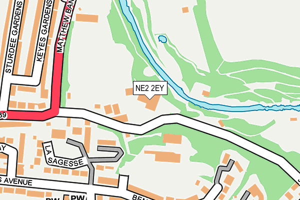 NE2 2EY map - OS OpenMap – Local (Ordnance Survey)