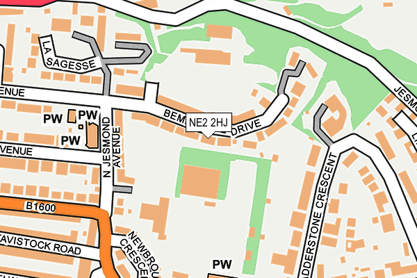 NE2 2HJ map - OS OpenMap – Local (Ordnance Survey)
