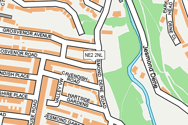 NE2 2NL map - OS OpenMap – Local (Ordnance Survey)