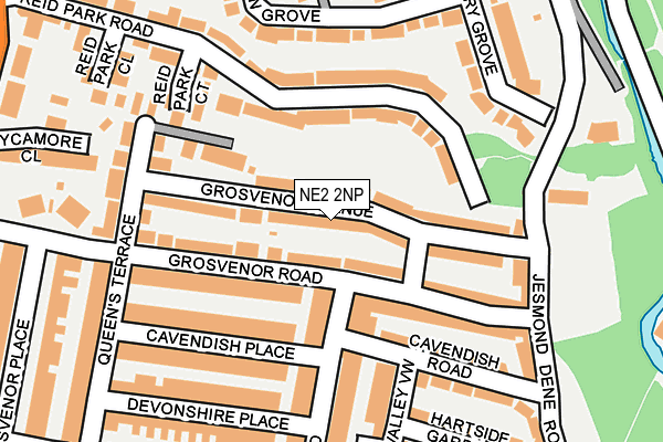 NE2 2NP map - OS OpenMap – Local (Ordnance Survey)