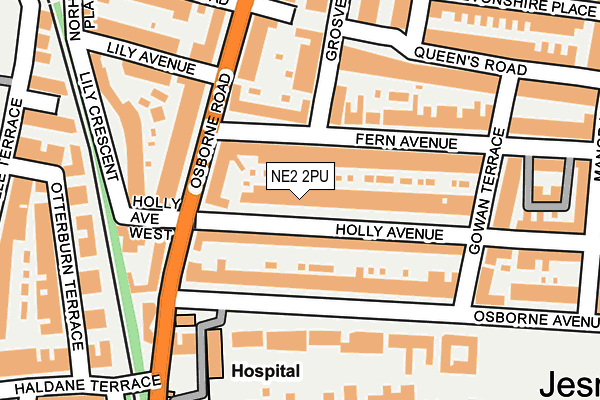 NE2 2PU map - OS OpenMap – Local (Ordnance Survey)
